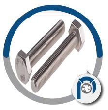 Stainless Steel Bolts