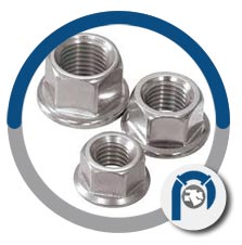 2.4066 Material flange lock nut 2.4066 Material flange lock nut