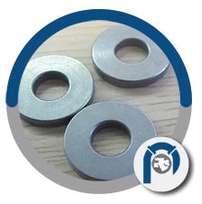 2.4617 Hastelloy B2 flat washer 2.4617 Hastelloy B2 flat washer