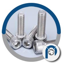 2.4856 Inconel socket head cap screw
