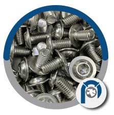 316 Stainless Steel Button Head Flange Bolt