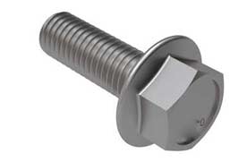 316 Stainless Steel Frame Bolts