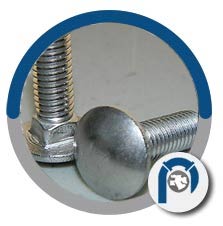 317L Carriage Bolt 317L Carriage Bolt