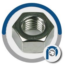 317L Hexagon Nut 317L Hexagon Nut