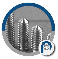 317L Set Screw 317L Set Screw