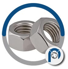 330 Hex Nuts 330 Hex Nuts