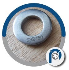 A182 F53 Super Duplex Washer