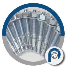 A182 F60 Anchor Bolt