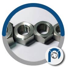 A182 F60 Duplex Stainless Steel Hex Nut