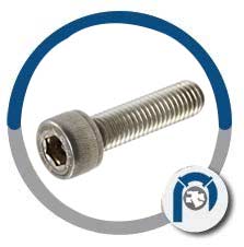 A193 Gr B8 Socket Head Bolts A193 Gr B8 Socket Head Bolts