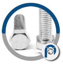 A4-70 AISI 316 hex cap screws A4-70 AISI 316 hex cap screws