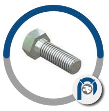 A4-80 AISI 316L hex cap screws A4-80 AISI 316L hex cap screws