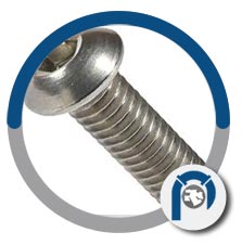 AISI 316L A4-80 cap screw AISI 316L A4-80 cap screw
