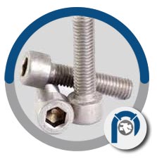 AISI 410 ss hex cap screws AISI 410 ss hex cap screws
