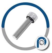 Alloy 718 Sealing Socket Head Screws Alloy 718 Sealing Socket Head Screws