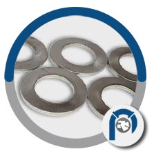 Alloy 800HT washer