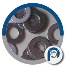 Alloy C22 washer