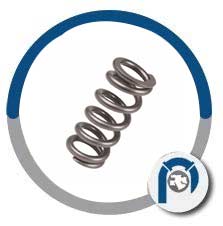 Alloy X750 Compression Springs Alloy X750 Compression Springs