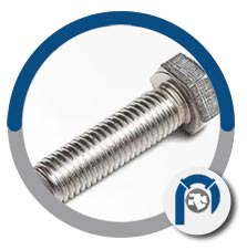Anodized Tantalum Machine Screws Anodized Tantalum Machine Screws