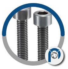 ASME SB387 Molybdenum Machine Screws ASME SB387 Molybdenum Machine Screws