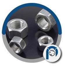 ASME SF2482 Nuts