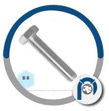 ASTM A153 Class C Heavy Hex Bolts