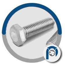 ASTM A182 F55 Fasteners