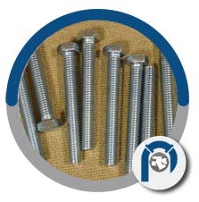 ASTM A182 F60 Hex Bolt