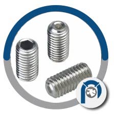 ASTM A182 F60 Set Screw