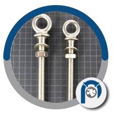 ASTM A182 Gr F60 Eye Bolt