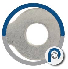 ASTM A182 Gr F60 Tab Washer