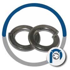 ASTM A240 Split Lock Washers