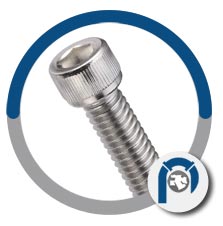 ASTM A276 Type 630 allen cap screws ASTM A276 Type 630 allen cap screws