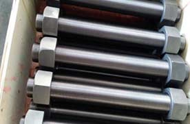 ASTM A453M Finished Hex Head Bolts