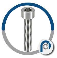 ASTM Alloy F468 UNS N04400 Hex Cap Screw