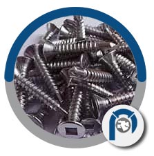 ASTM B408 UNS N08800 screw
