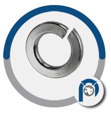 ASTM B409 Incoloy 800 Split Washer
