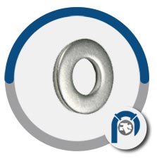 ASTM B409 Nickel Alloy N08120 Round Washer