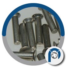 ASTM B574 rivets ASTM B574 rivets