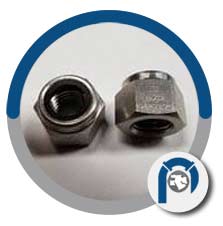 ASTM F2281 nylon insert nut