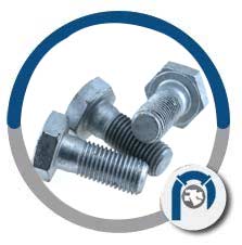 ASTM F2482 Screw