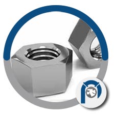 ASTM F467 Hex Nuts ASTM F467 Hex Nuts