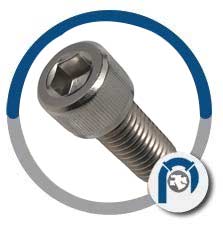 ASTM F468 Nickel Alloy 400 Allen Head Screw
