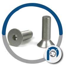 ASTM F468 Nickel Alloy C276 Countersunk Screws