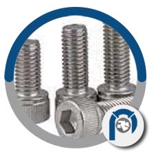 ASTM F468 Titanium Coach Screws ASTM F468 Titanium Coach Screws