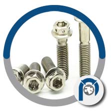 ASTM F468 titanium headed anchor bolts ASTM F468 titanium headed anchor bolts