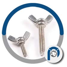 ASTM F468 titanium molly bolts ASTM F468 titanium molly bolts