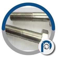 ASTM F468 Titanium Sheet Metal Screws ASTM F468 Titanium Sheet Metal Screws