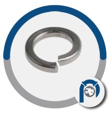 B409 Incoloy 800 Spring Washer