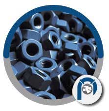 Ceramic Coated Bolts Ceramic Coated Bolts